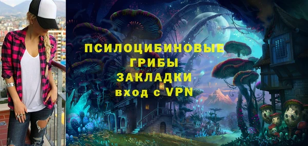 шишки Михайлов